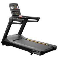 Endurance Treadmill - GTLED