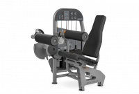 Leg Curl/Extension VY-2040