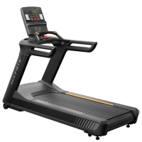 Performance Plus Treadmill - GTLED