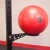 HEX SYSTEM Stability Ball Holder